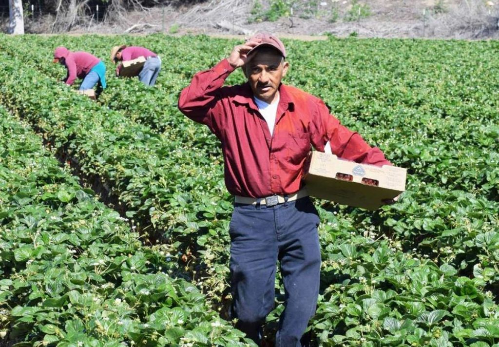 National Farm Workers Day in Lake Oswego & Tualatin, OR