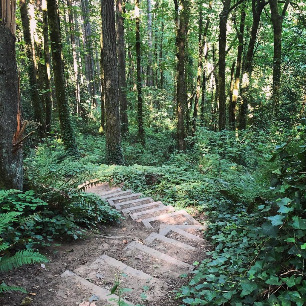 Tryon Creek State Natural Area