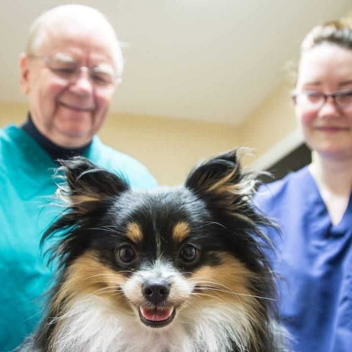 Exterior of Tualatin Park Veterinary Clinic, serving pets since 1973 with a Fear-Free Certified approach.